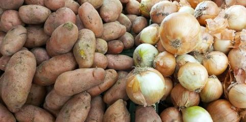 brambory-cibule.JPG